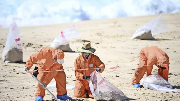 Mysterious Balls Found Again: Nine Sydney Beaches Closed