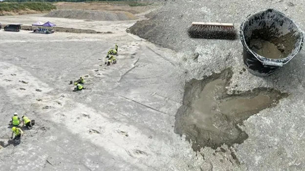 Mysterious Dinosaur Footprints Found in Dewars Farm Quarry