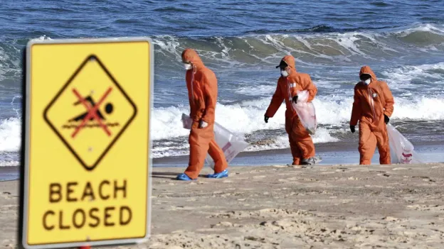 Mystery surrounding black balls on Sydney beaches partially solved: tests provide clarity