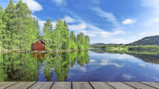 New Chapter in Scandinavian Success Story: Traditional Swedish Cottage to the Moon