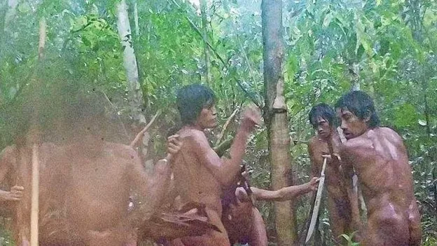 New Images Show Indigenous Tribe in Brazilian Amazon Rainforest