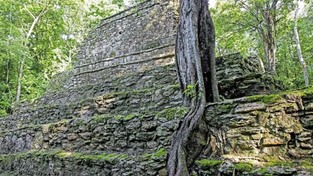 New Mayan City Discovered in Mexico: With Sports Fields and Amphitheaters