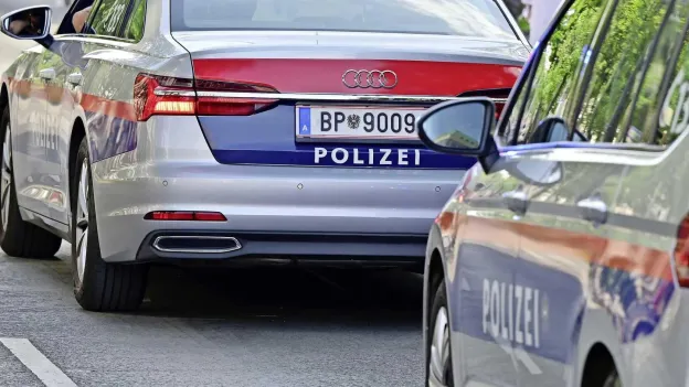 Newborn Baby Found Dead Near Austrian Hospital, Mother Suspected of Murder