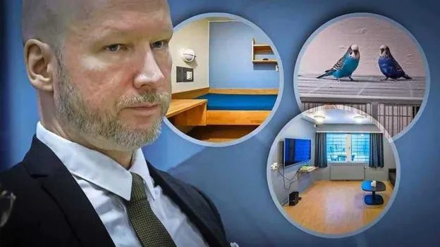 Norwegian Mass Murderer Anders Breivik Receives Two Guinea Pigs in Cell