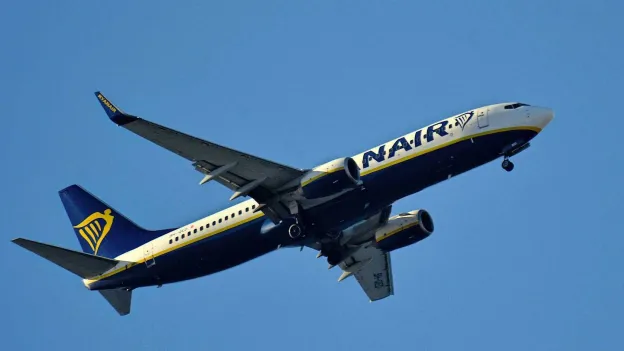 Panic on Board Ryanair Flight as Plane Circles Endlessly: 'Child Vomited on My Hand and Shirt'