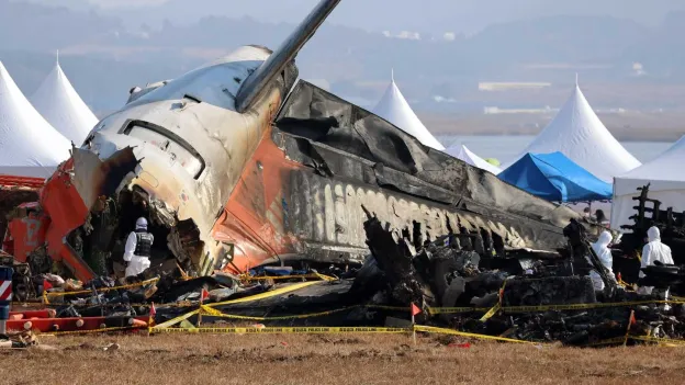 Police Raids Conducted on Jeju Air Offices and Muan Airport After Plane Crash in South Korea