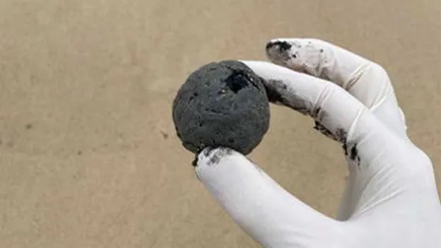 Popular Sydney Beach Closed After Mysterious Black Balls Wash Up