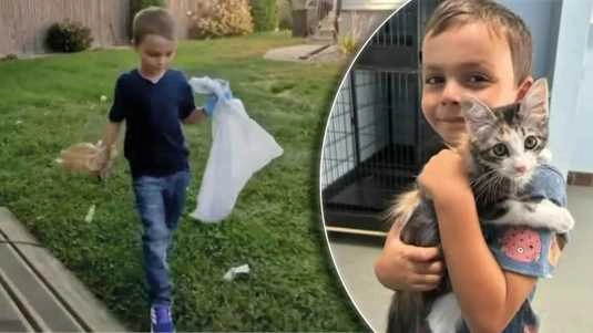 Six-year-old boy starts dog poop cleanup service to adopt cat from shelter, and succeeds