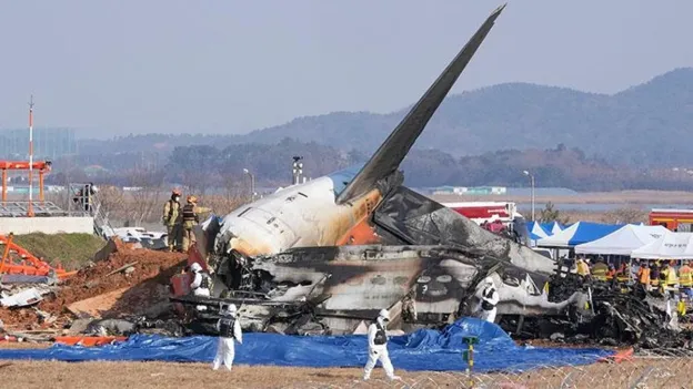 South Korea Plane Crash Preliminary Report Completed