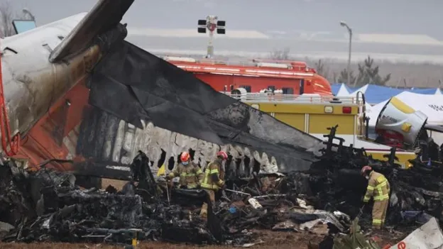 South Korea to Remove Wall After Airplane Crash