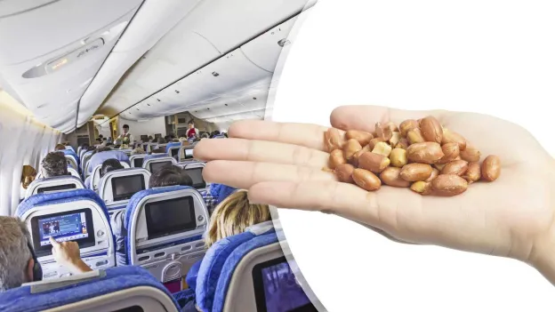 Study: Peanut particles in airplanes unlikely to cause allergic reactions, say scientists