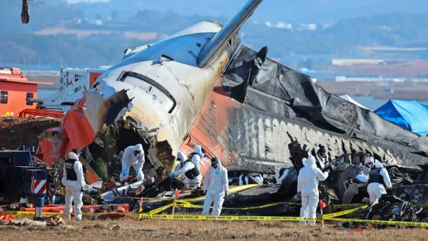 Survival of Stewardess and Colleague in South Korea Plane Crash: What Saved Them?